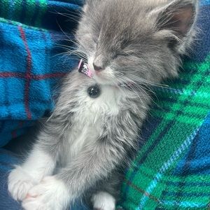 Meet your Posher, Fillipa